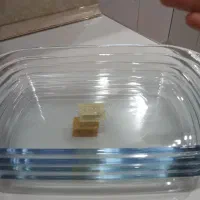 مرغ حوری پریکس دونه ای ۵۰۰