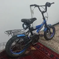 دوچرخه