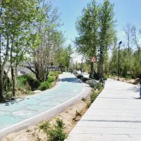 همراه جهت پیاده روی و کوهنوردی