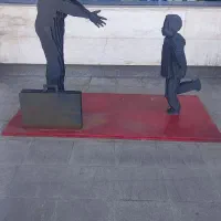 پولش ساب اجرنما