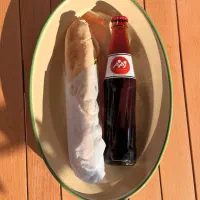 استخدام صندقدار خانوم