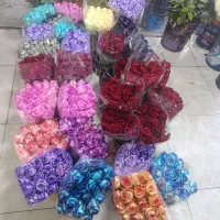 گل رز|گل و گیاه طبیعی|یزد, |دیوار