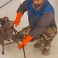 لوله بازکنی پور عباسی ۲۴ساعت سرکار