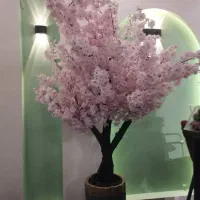 درختچه شکوفه و سبز