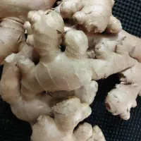 سلام عمده زنجبیل ،قهوه ،طالخونچه ،مبارکه