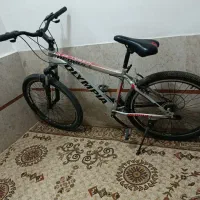 دوچرخه ۲۶|دوچرخه، اسکیت، اسکوتر|پیشوا, |دیوار