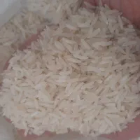 برنج ۳۸۶
