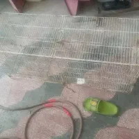 دوعددقفس بزرگ درحد اندازه کاسکویی،ویک متر نیم در۶۰
