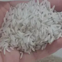 برنج شیرودی تازه و خوش‌پخت
