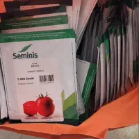 بذر گوجه BRIVIOسیمینس(اصل)
