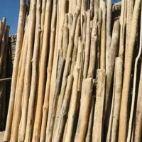 تیر و تخته سقفی