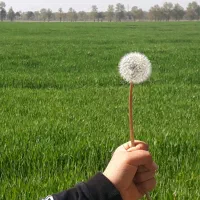 سیم کارت رند همراه اول۱۲۳-۱۳۶۳-۰۹۹۰