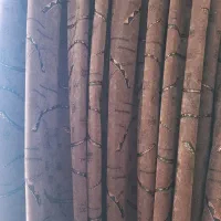 پرده ی پذیرایی