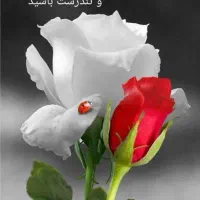 سلام خط دایمی