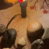 فروش انواع سنگ