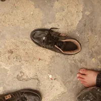 کفش سایز 44نو