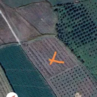 باغ سیب مرگور روستای هلج 5000 متر