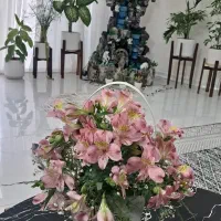 آبنما|گل و گیاه طبیعی|اصفهان, باغ فدک|دیوار
