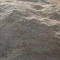 کاه جو