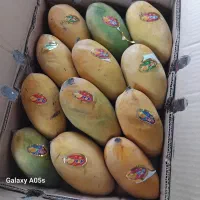 انبه وارداتی درجه ۱