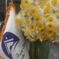 استخدام مشاور خانم و آقا در املاک