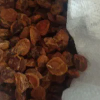 الو زردالو خورشتی