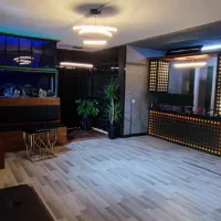 پزشک عمومی (مسئول فنی)