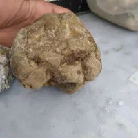 سنگ باستانی