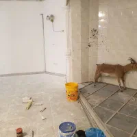 ویلای ۲۳۰متر اندیشه ۷