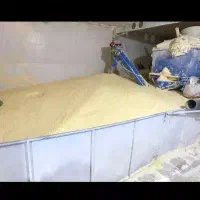 تولید کننده و پخش کننده نوره زرنیخ دار