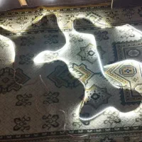 ریسه نواری