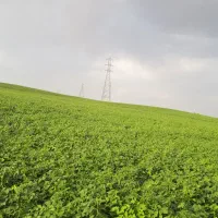 فروش لوله