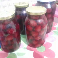 کمپوت گیلاس تک دانه اورگانیگ خانگی