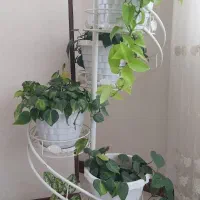 استند و ۵ گلدان