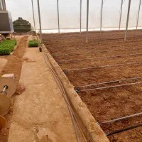استخدام کارگر دائمی برای کار گلخونه و کشاورزی