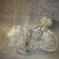 « کاسه طرح دار آلمان »