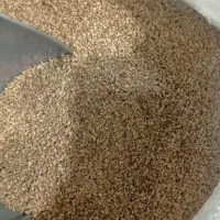 کنجد خام ایرانی