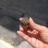 سنگ