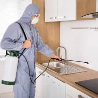 سمپاشی با فاکتور معتبر - سم پاشی ساس موش سوسک