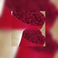 شاخه ای