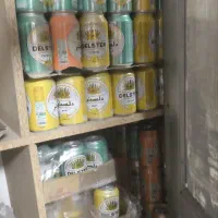 دلستر عمده