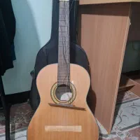 گیتار گودمن مناسب یادگیری