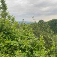 زمین-کاربری-مسکونی