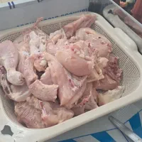 مرغ تازه