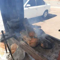 زمینی به کیش