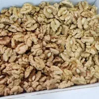 مغز گردو دوپر ودندانه