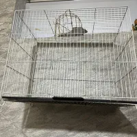 قفس پرنده