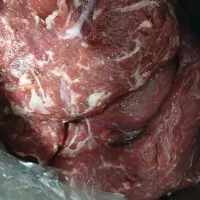 فیله راسته گوسفندی تازه گرم