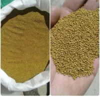 تخم یونجه خیلی خیلی نایاب