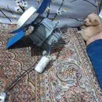 فن عالی وقوی